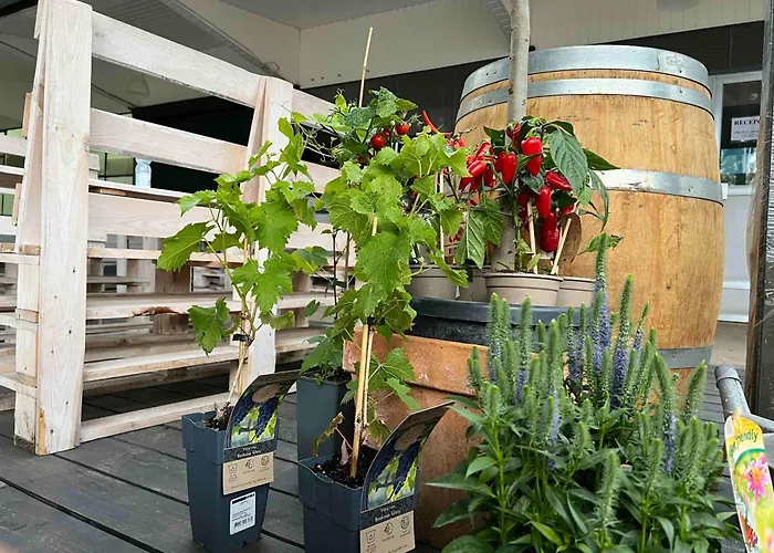 Resort Brzozowa Zatoka